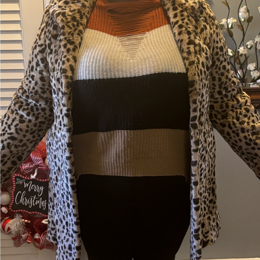 East 5th Leopard Print V-Neck Sweater with Stripes